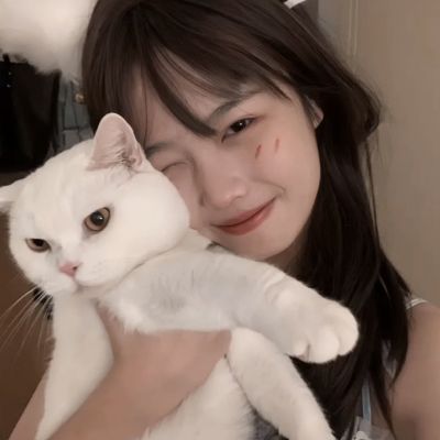 英雄不朽官方