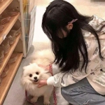 粉碎沙盒最新版下载